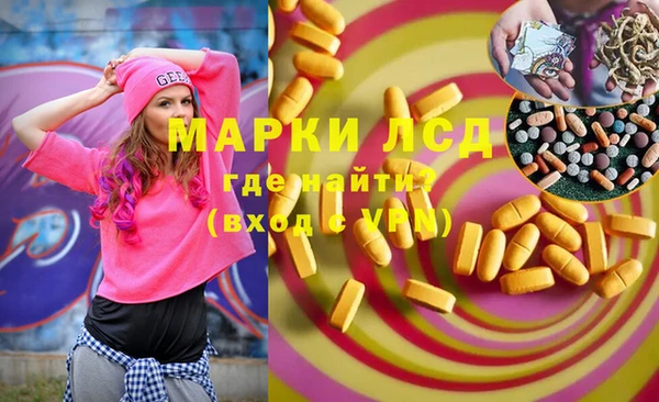 стаф Сатка