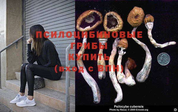 a pvp Армянск