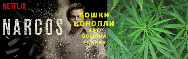 мяу мяу мука Сафоново
