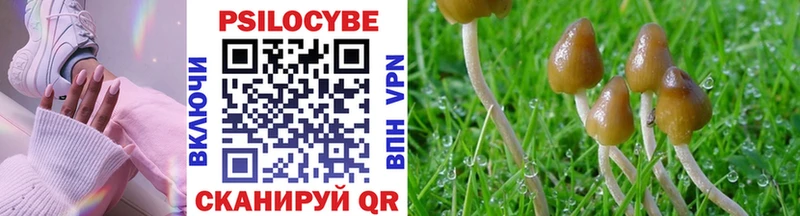 kraken как зайти  Уварово  Галлюциногенные грибы ЛСД  купить  цена 